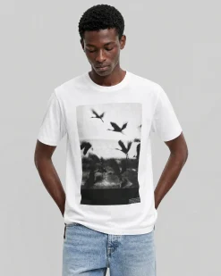 T-shirt avec sérigraphie oiseaux blanc