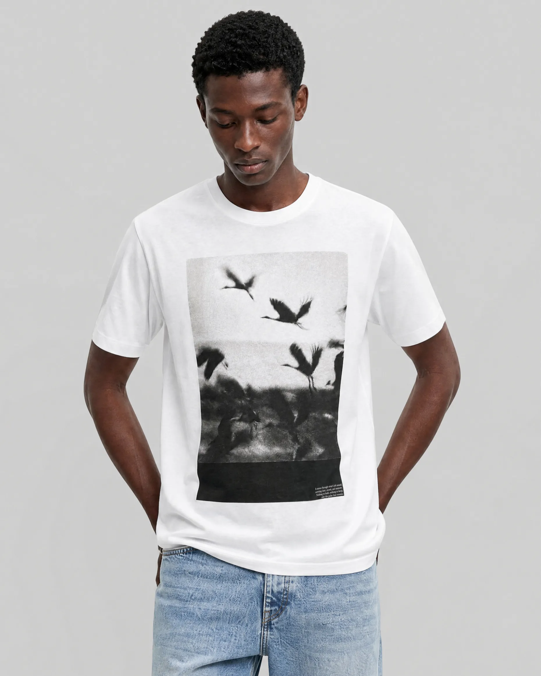 T-shirt avec sérigraphie oiseaux blanc