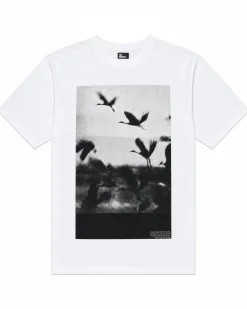 T-shirt avec sérigraphie oiseaux blanc
